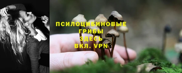 MDMA Premium VHQ Белокуриха